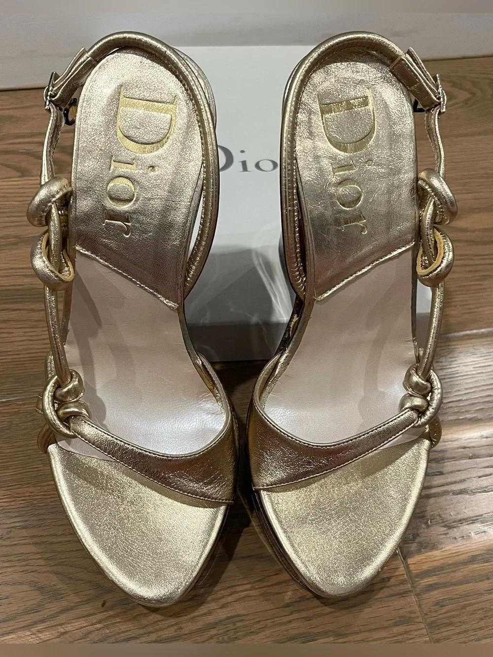 Dior elegant metallic
